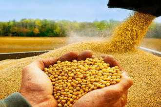 Taiwán productos agrícolas acuerdo con EE. UU.