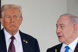 特朗普加沙和平计划引发关注