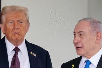 特朗普加沙和平计划引发关注