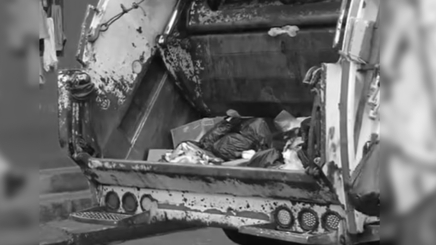 Imagen de Neonato Abandonado Limón en Pacuare