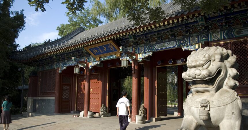 Plagio masivo en China