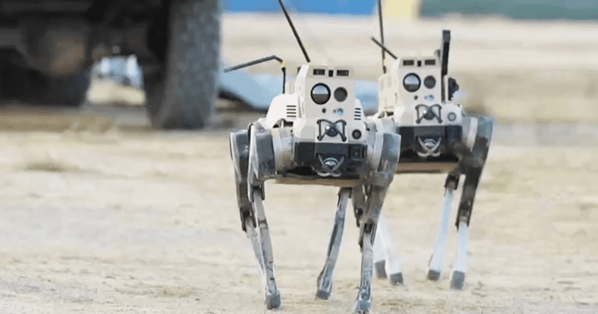 Perros robot: Taiwán estrena su patrulla militar no tripulada