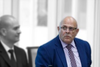 diputado
