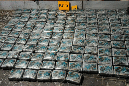 Imagen de Decomiso en Cartago de marihuana en El Guarco