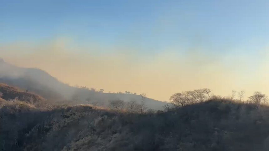 Incendios forestales en Guanacaste: 63 casos y 9 activos en 2026