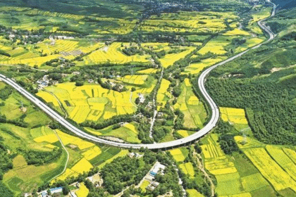 察楠植树造林绿色屏障景观