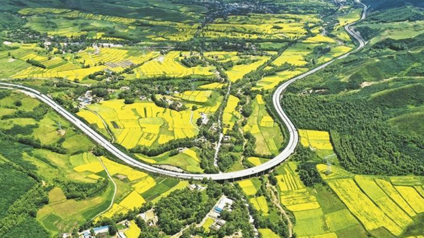 察楠植树造林绿色屏障景观