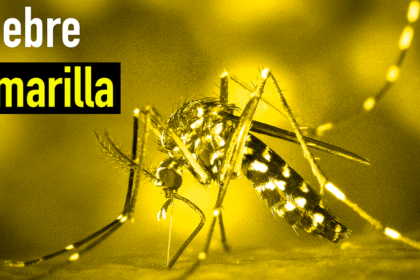 Fiebre amarilla: vacunación hoy