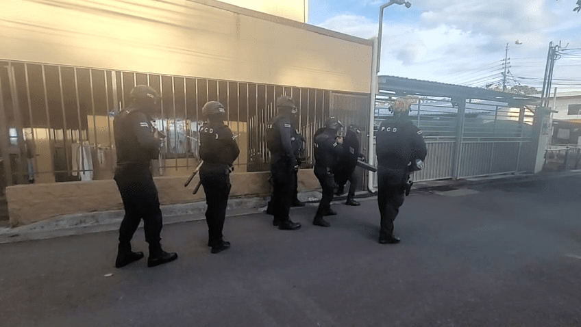 PCD realiza allanamientos por venta de cáñamo con THC