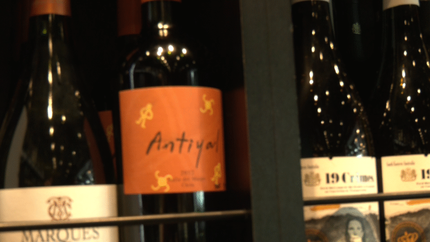 Vinos orgánicos Costa Rica presentación de Álvaro Espinoza en entrevista con StayTV