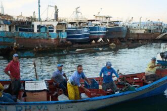 美国袭击哥伦比亚渔民引发波哥大外交危机 图片