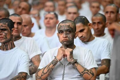 国际 (Internacional)