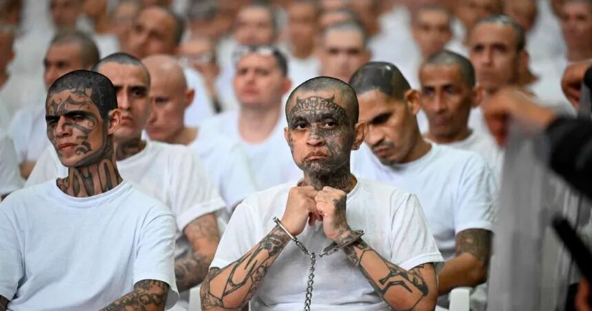 国际 (Internacional)