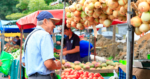 ¿Cuánto costará hacer las compras? Conozca la lista oficial de precios sugeridos para las ferias de agricultores
