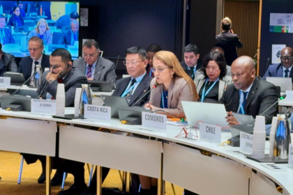 vicepresidenta de la República