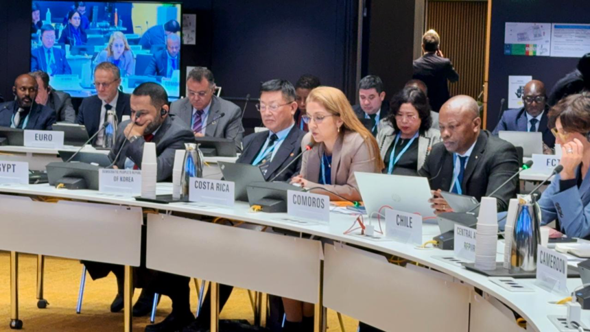 vicepresidenta de la República