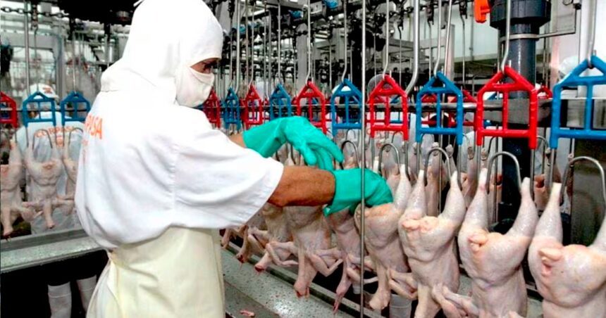 mercado al pollo