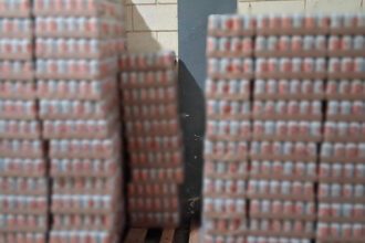 Decomisan más de 5.000