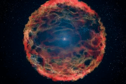 Supernova inédita revela interior estelar