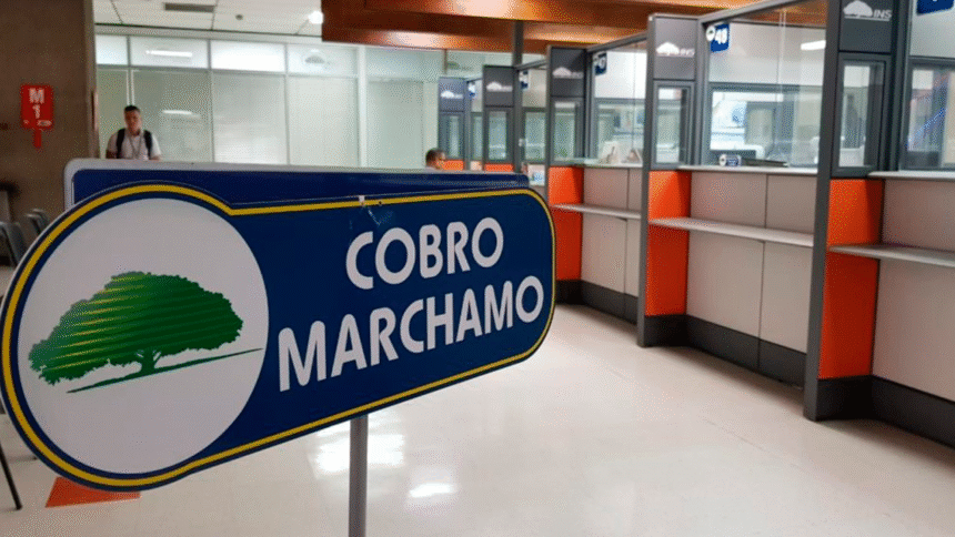 marchamo 2026 Costa Rica INS