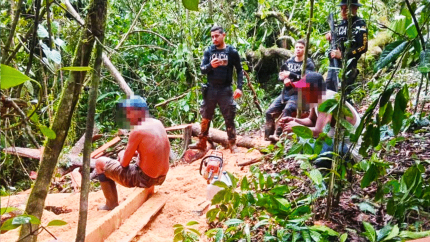 Fuerza Pública detecta tala ilegal en frontera norte