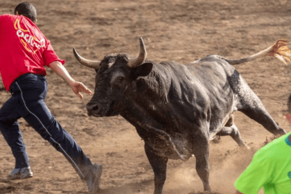 Toreros improvisados en una corrida de toros popular mientras personal de seguridad y asistentes observan desde las graderías