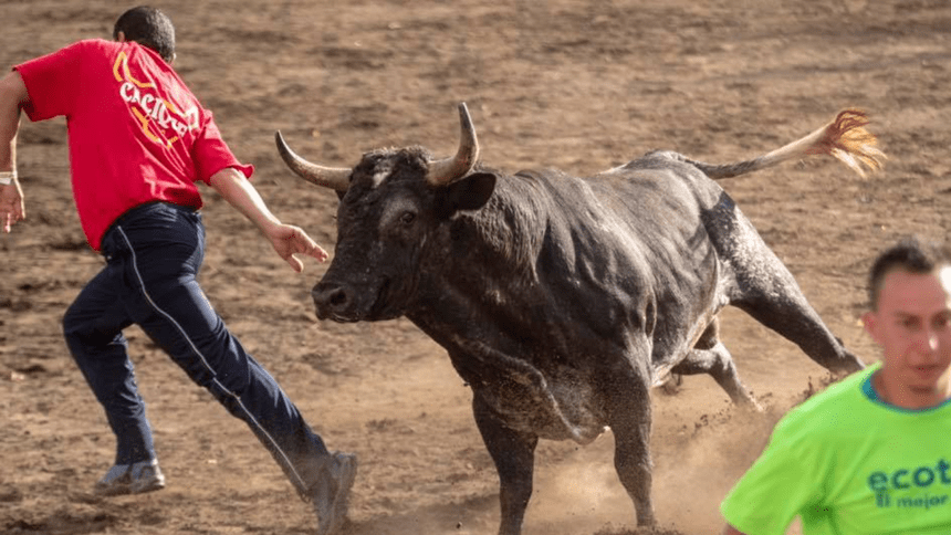 Toreros improvisados en una corrida de toros popular mientras personal de seguridad y asistentes observan desde las graderías