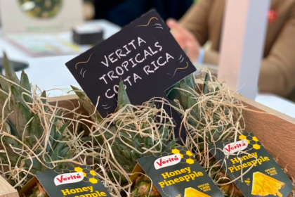 Exportación tica de frutas busca nuevos mercados en gran feria