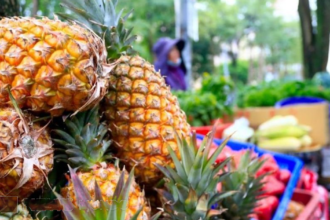 ¡Escándalo en Taiwán! Gobierno exigirá pruebas extremas a las fábricas de alimentos