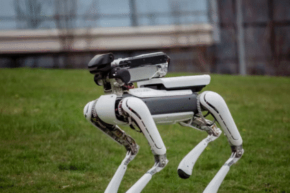 robots en animales