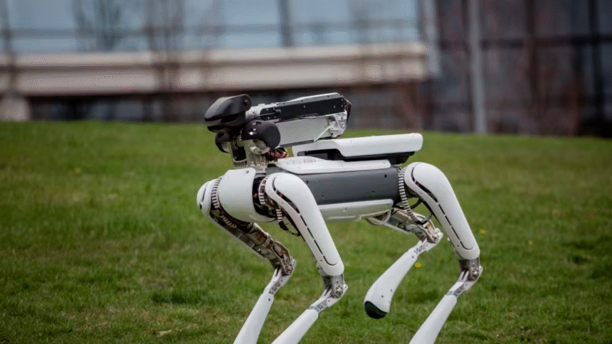 robots en animales