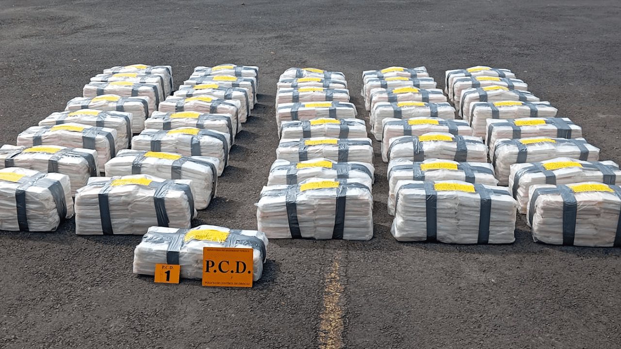 incautación cocaína Moín contenedor puerto Limón yuca escáner