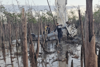 PCD decomisa cocaína en aeronave siniestrada en Carate, Puerto Jiménez