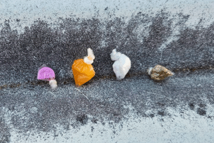 Decomiso penitenciario de droga en cárcel La Reforma