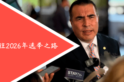 Fernando Zamora 总统候选人 医疗改革 2026