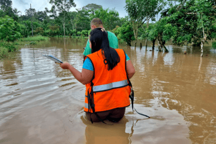 alerta a amarilla