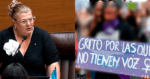 Emergencia climática: Diputada expone inacción de oposición