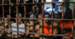 La fuga de criminales ya no garantizará impunidad