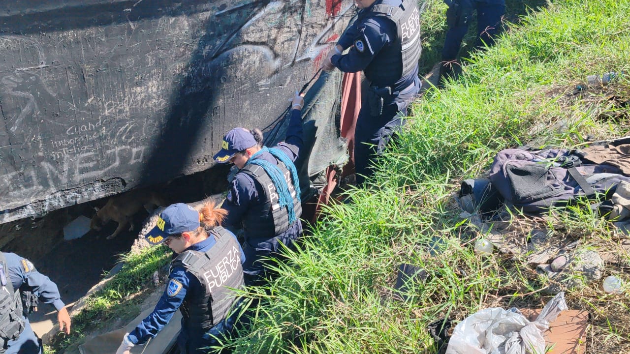 WhatsApp Image 2026-02-16 at 10.35.17 AM